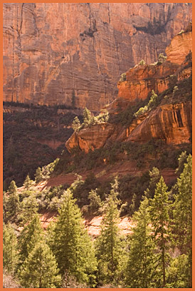 Boynton Canyon, Sedona, AZ